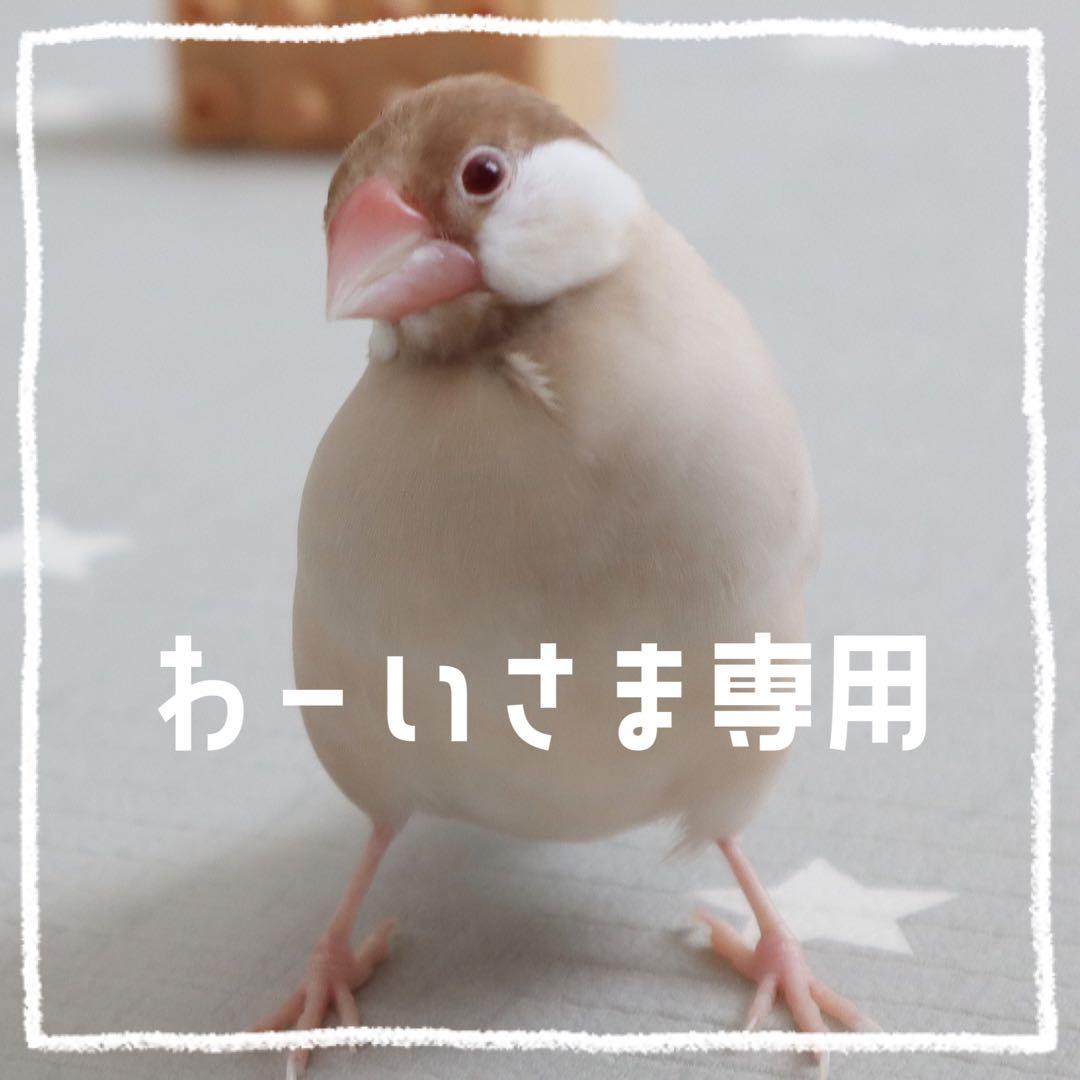 【わーい】ことりのあそびば