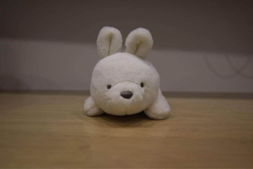 ブドウ様　美品 広角レンズ Tokina AT-X 11-16mm Canon