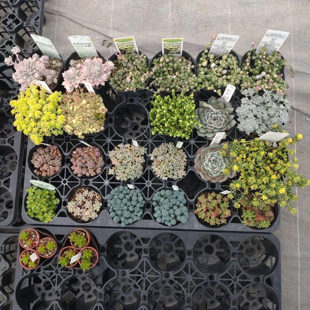 午前着 ☆Yuさん専用