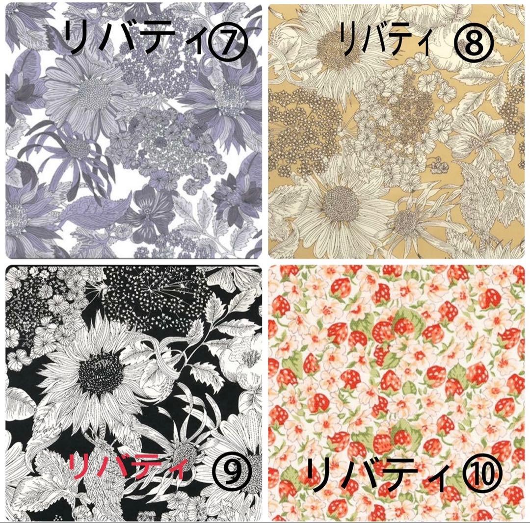 とんページピコタンpmサイズバッグインバッグ