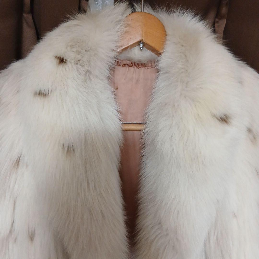 v*p様 11号)サガFOX 希少斑点(スポット)　肉厚