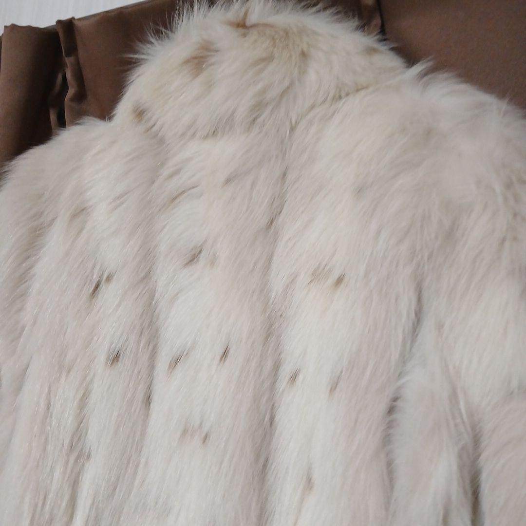 v*p様 11号)サガFOX 希少斑点(スポット)　肉厚