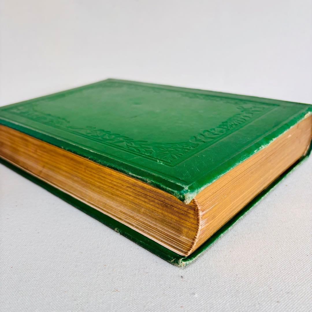 洋書　1876年 野の花 British 花 植物図鑑 英国 Sowerby