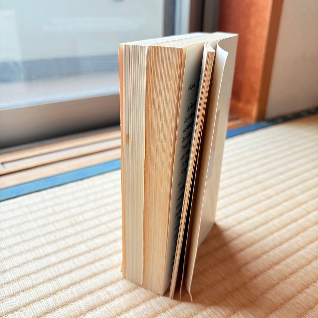 イングリッシュアドベンチャー　英語教材　の冒険　家出のドリッピー