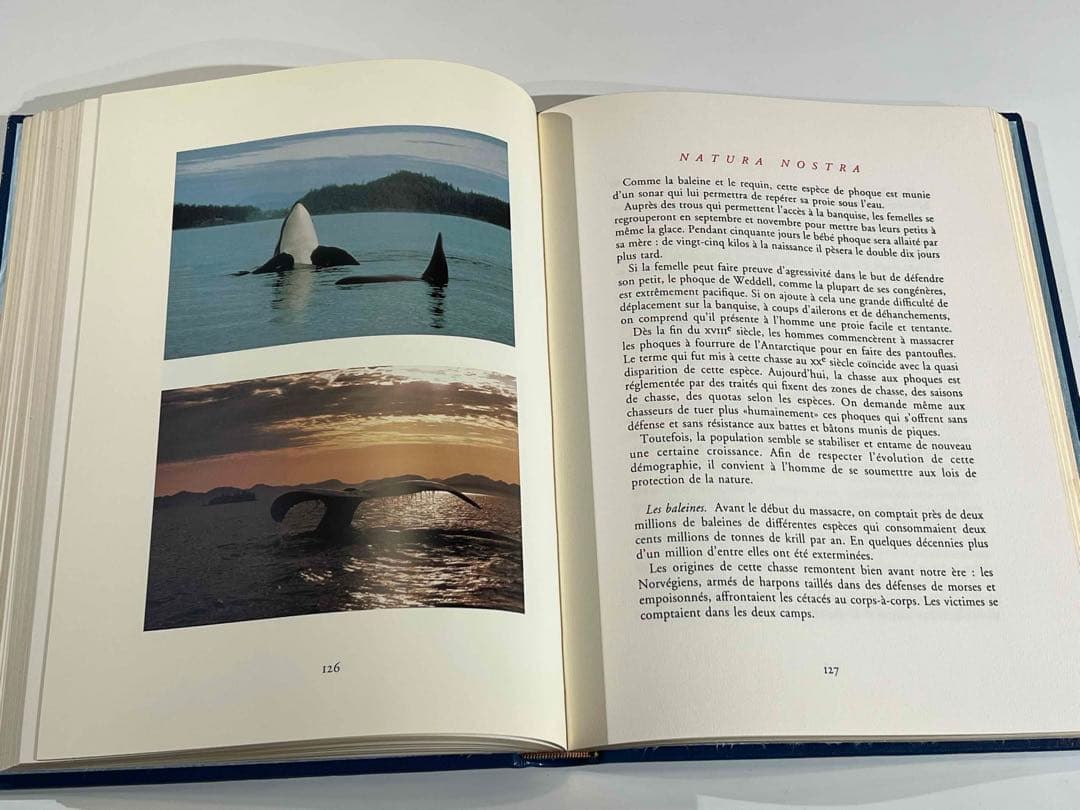 洋書 NATURA NOSTRA 限380 ブラジリエ画 革装幀 三方金