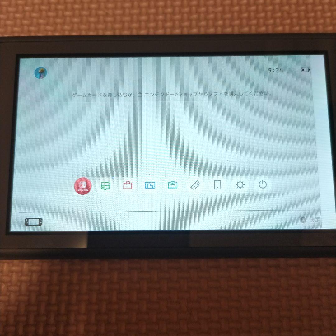 Nintendo Switch Lite グレー　画面要確認