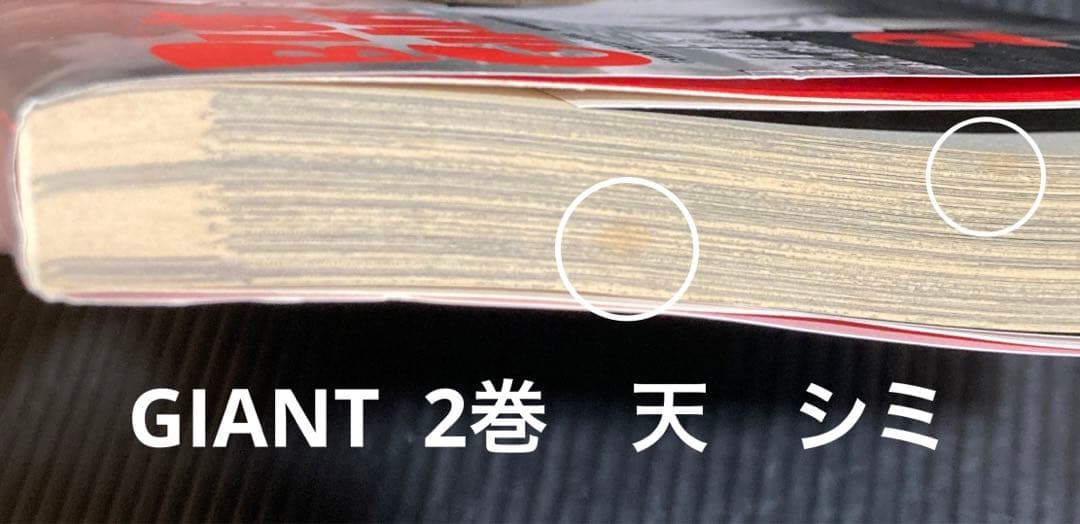 ブルージャイアント SUPREME EXPLORER 全26冊