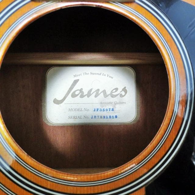 James ジェームス トップ単板アコースティックギター JF350TS