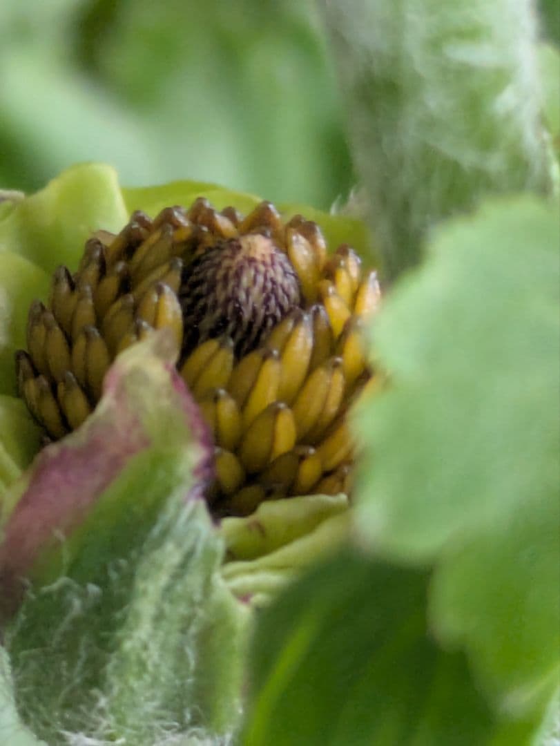 ♡みあり様♡13周年感謝価格✨✨