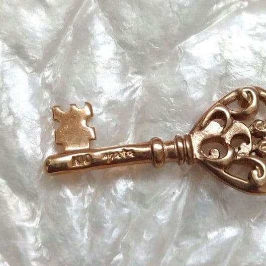 agate/アガット ネックレス チャーム トップ K10 鍵モチーフ