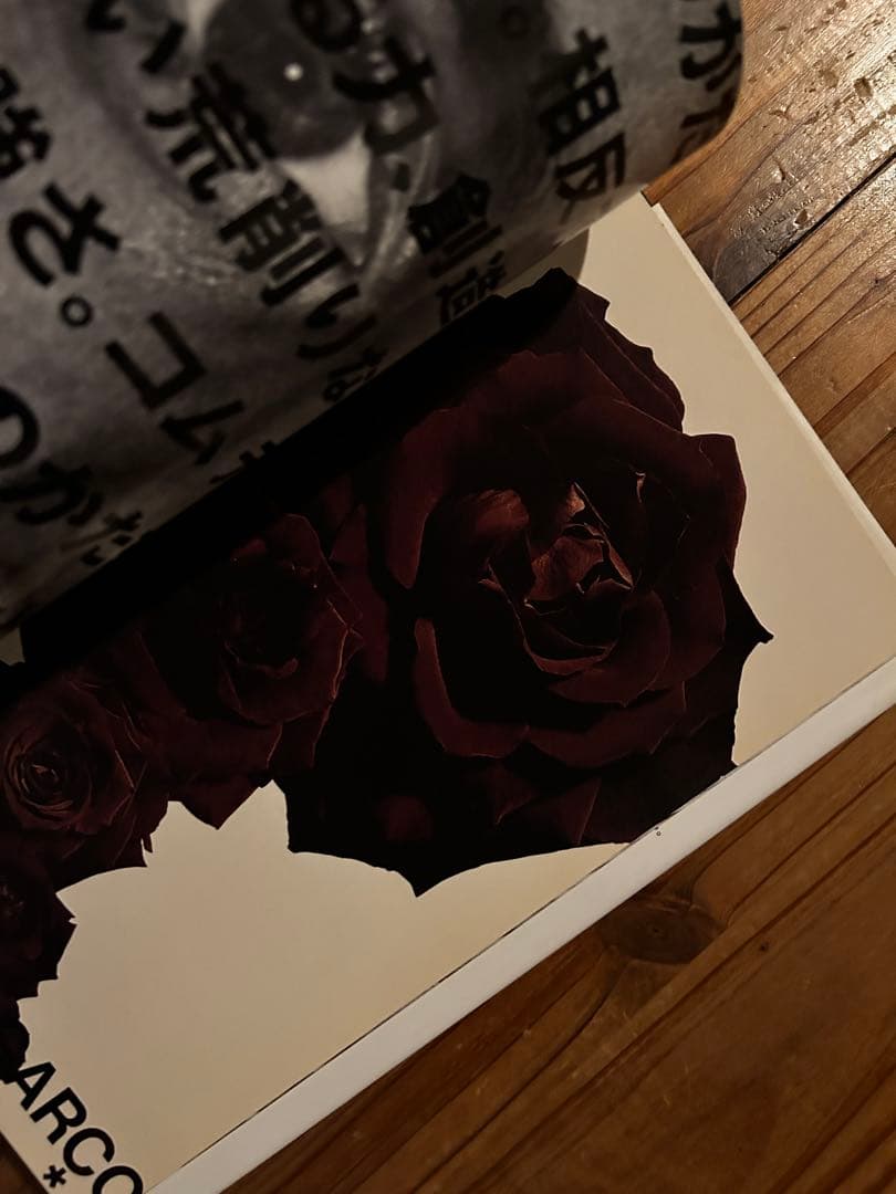 COMME des GARÇONS コムデギャルソン