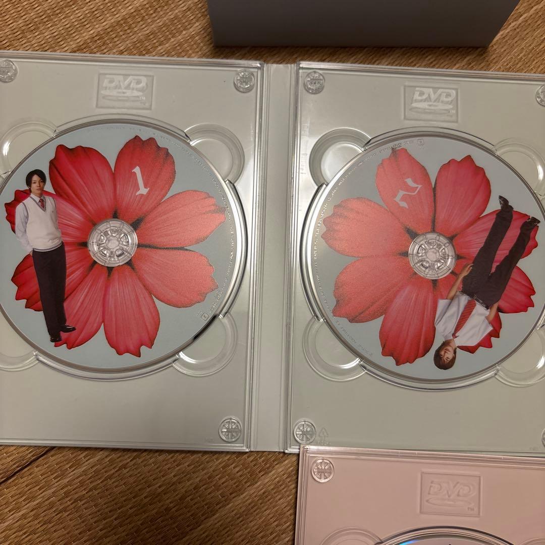 オトメン（乙男）DVD-BOX DVD