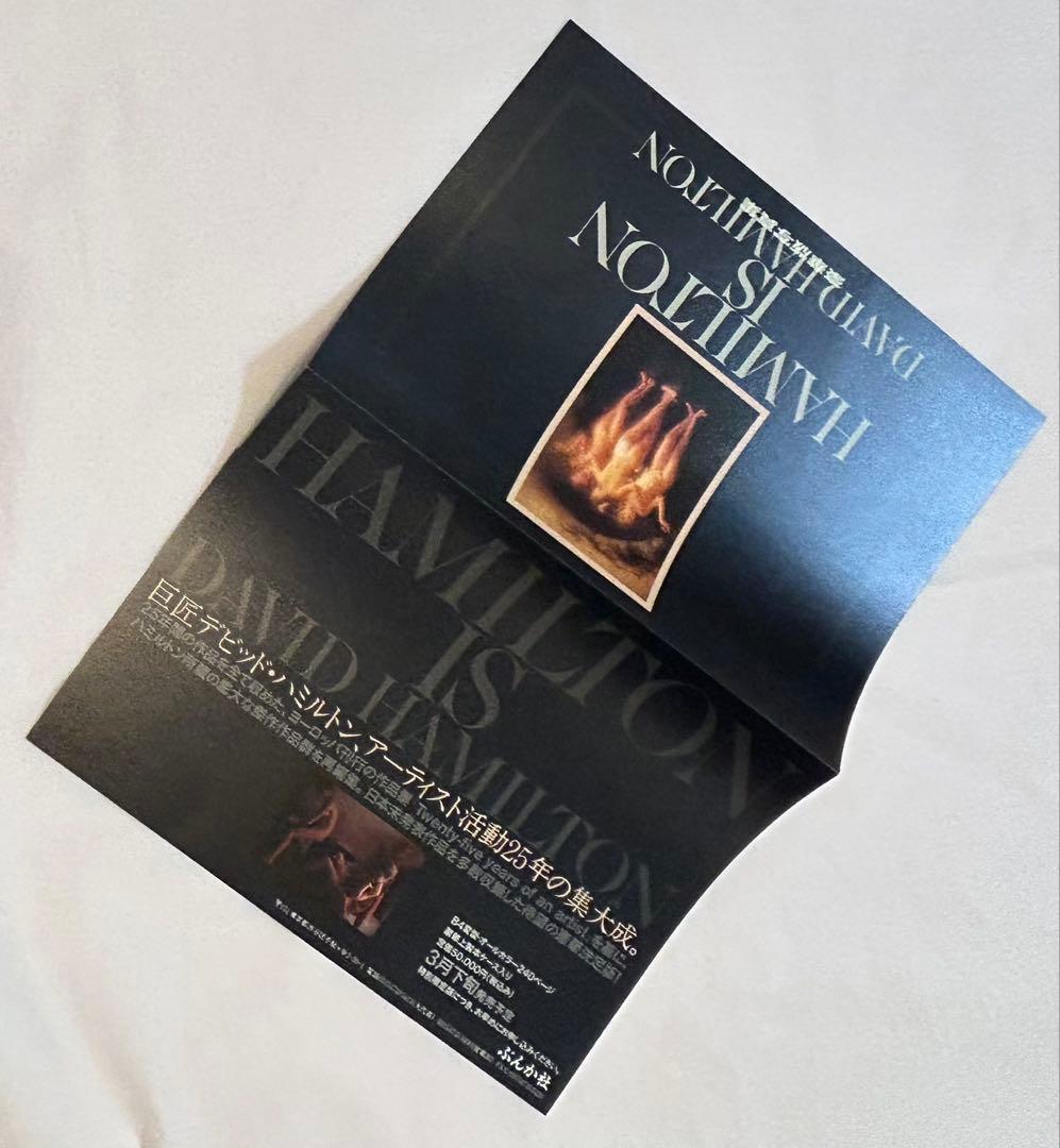 ハミルトン・ピクチャーズ David Hamilton 初版 帯、フライヤー付