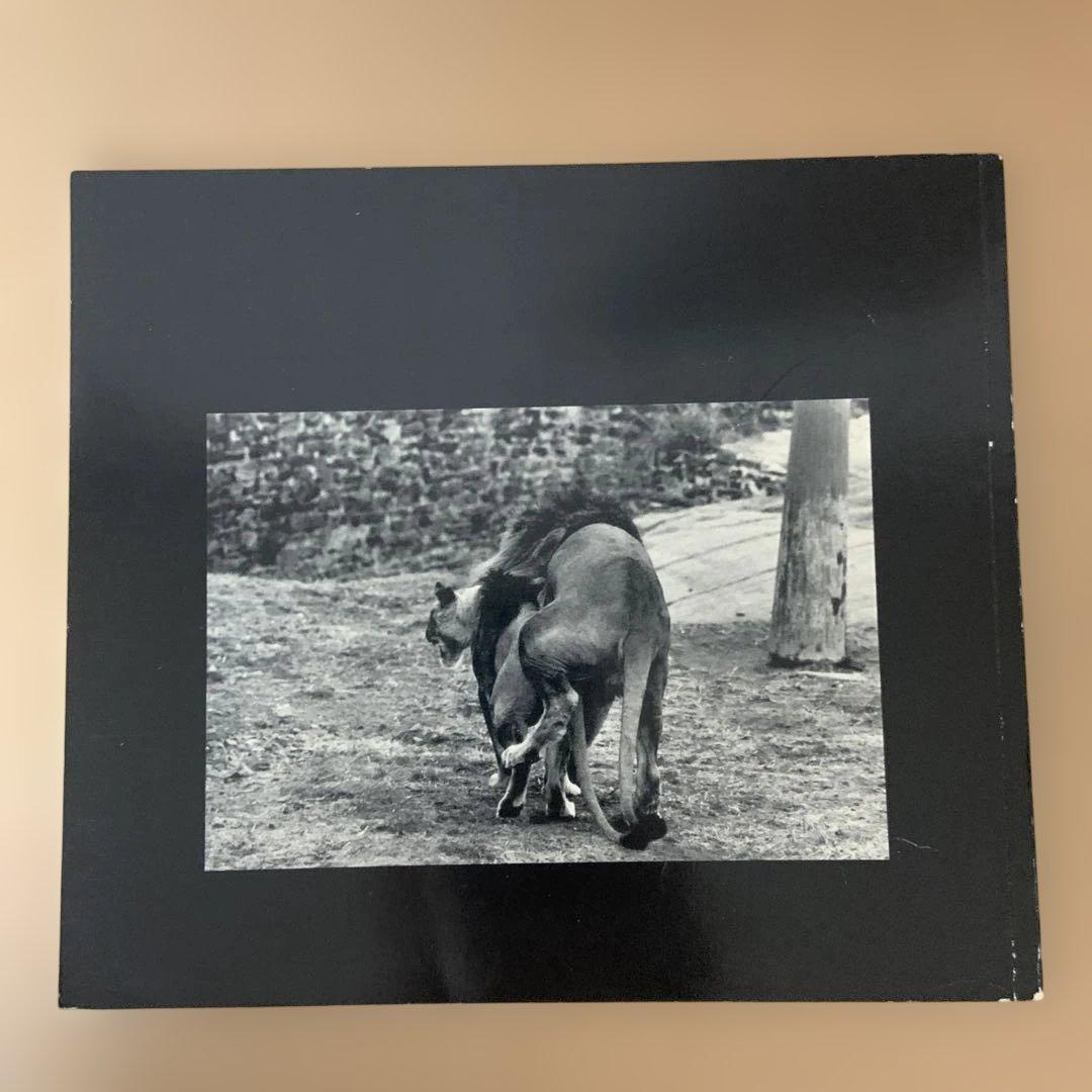 洋書 The Animals / Garry Winogrand