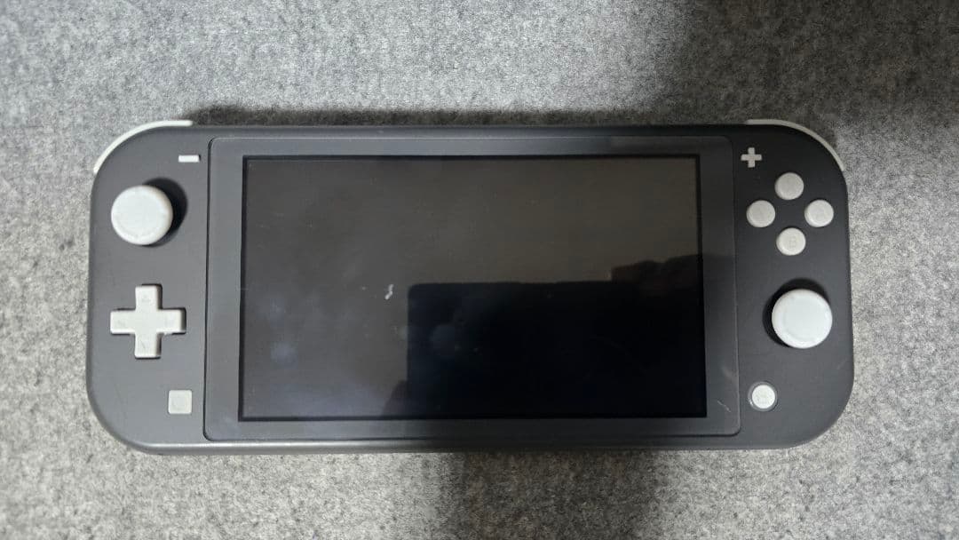 Nintendo Switch Lite グレー 本体 (ジャンク)