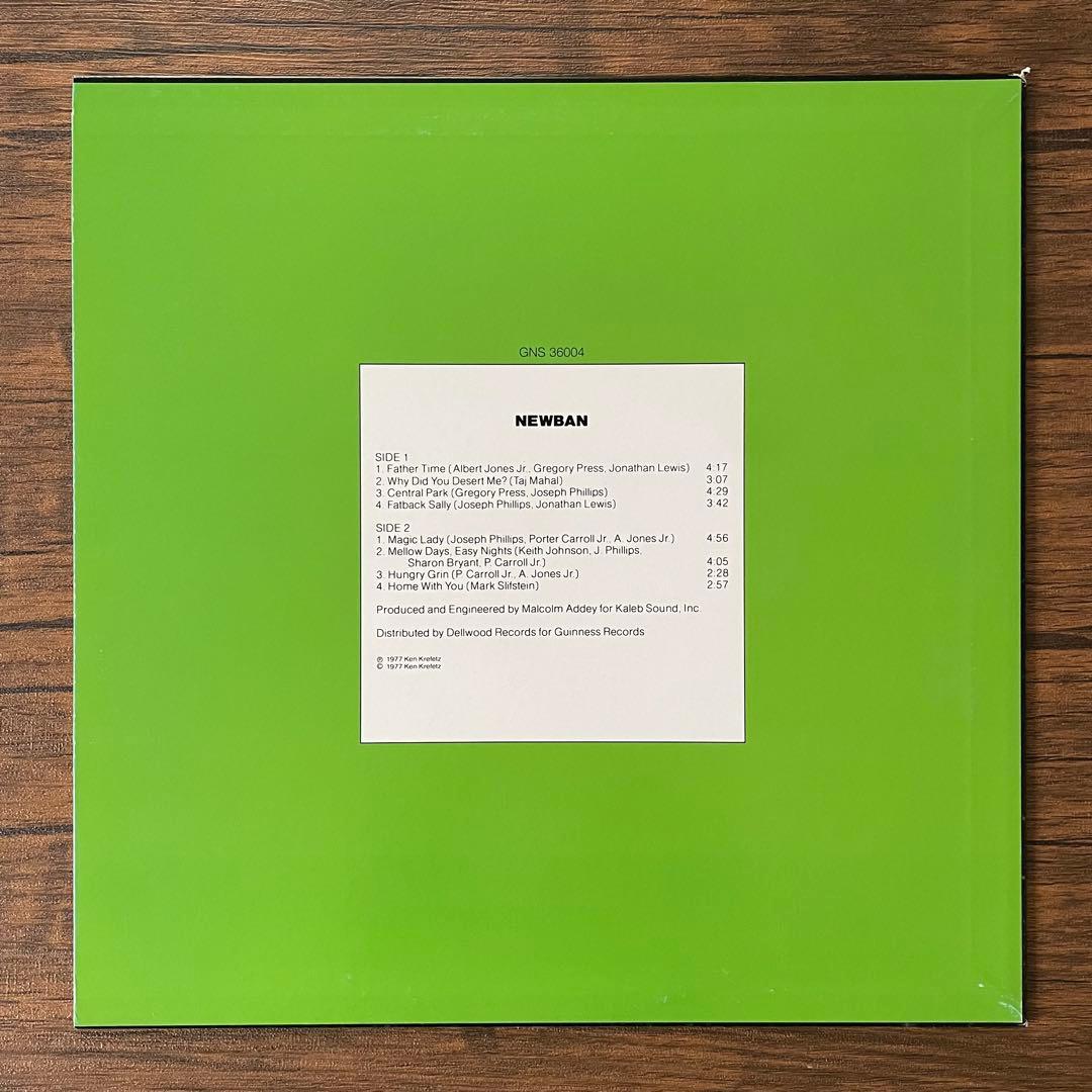 NEWBAN - NEWBAN（S/T）LP レコード