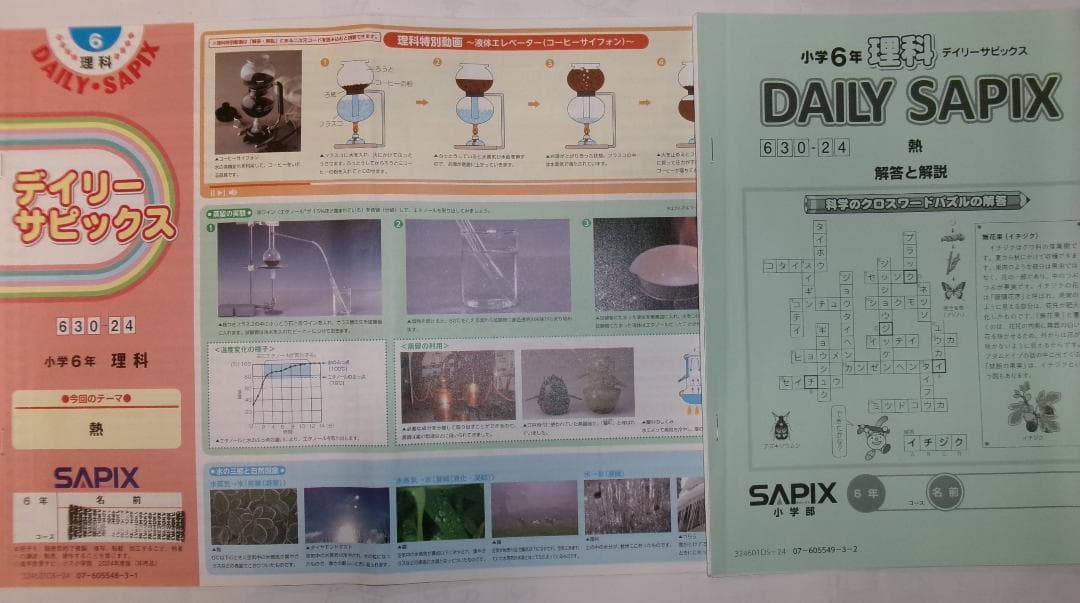 サピックス＊デイリー サピックス＊６年＊理科／全３８回 完全版＊２０２４年.
