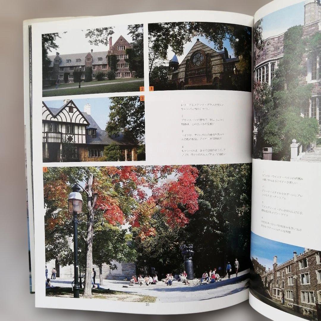 【希少】The IVY TERUYOSHI HAYASHIDA サイン入り