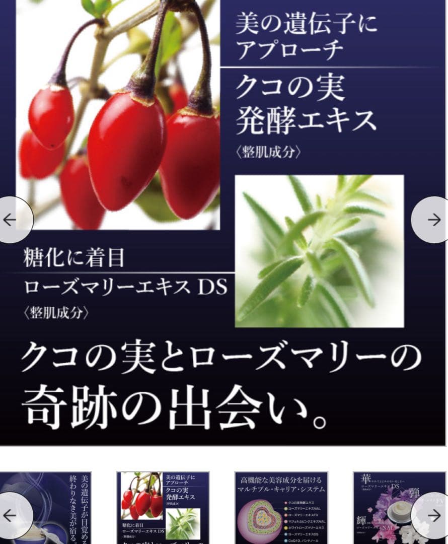 新品未開封未使用/サンプル付/ナガセ　ロズマリスト