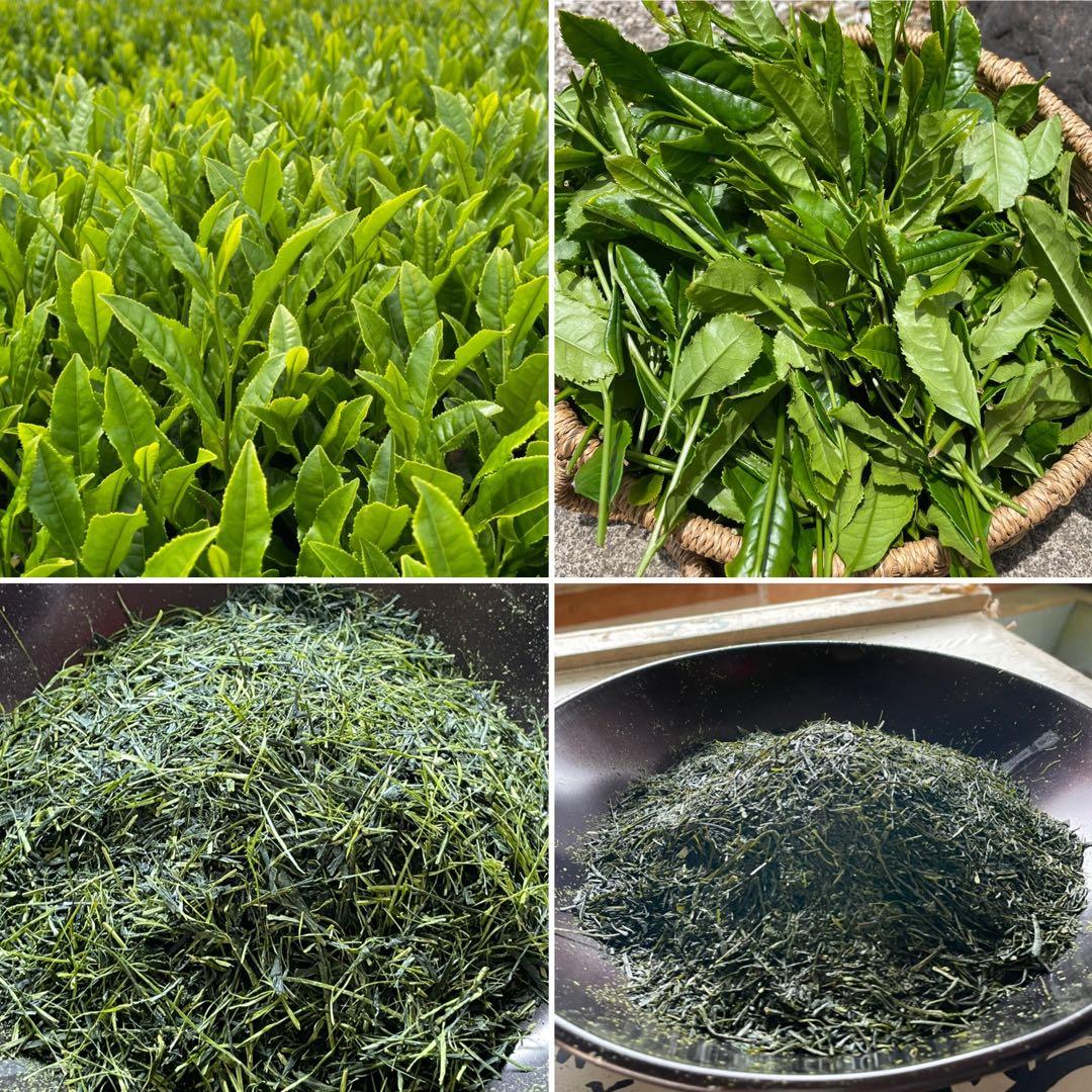 【専用】茶畑直販☆煎茶+上煎茶+上ほうじ茶☆令7年産☆一番茶☆深蒸し緑茶日本茶