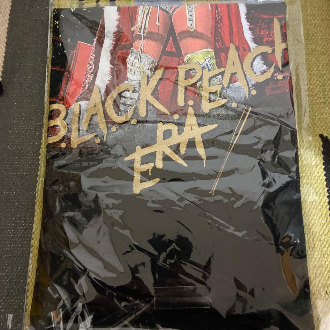 渡辺桃　5★STAR GP 優勝Ｔシャツ XL スターダム H.A.T.E