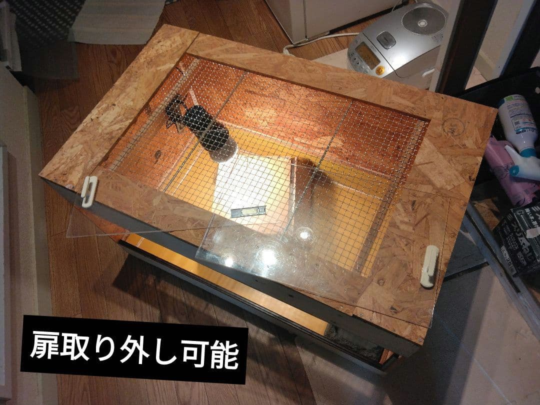 ラスト！大型爬虫類ケージ