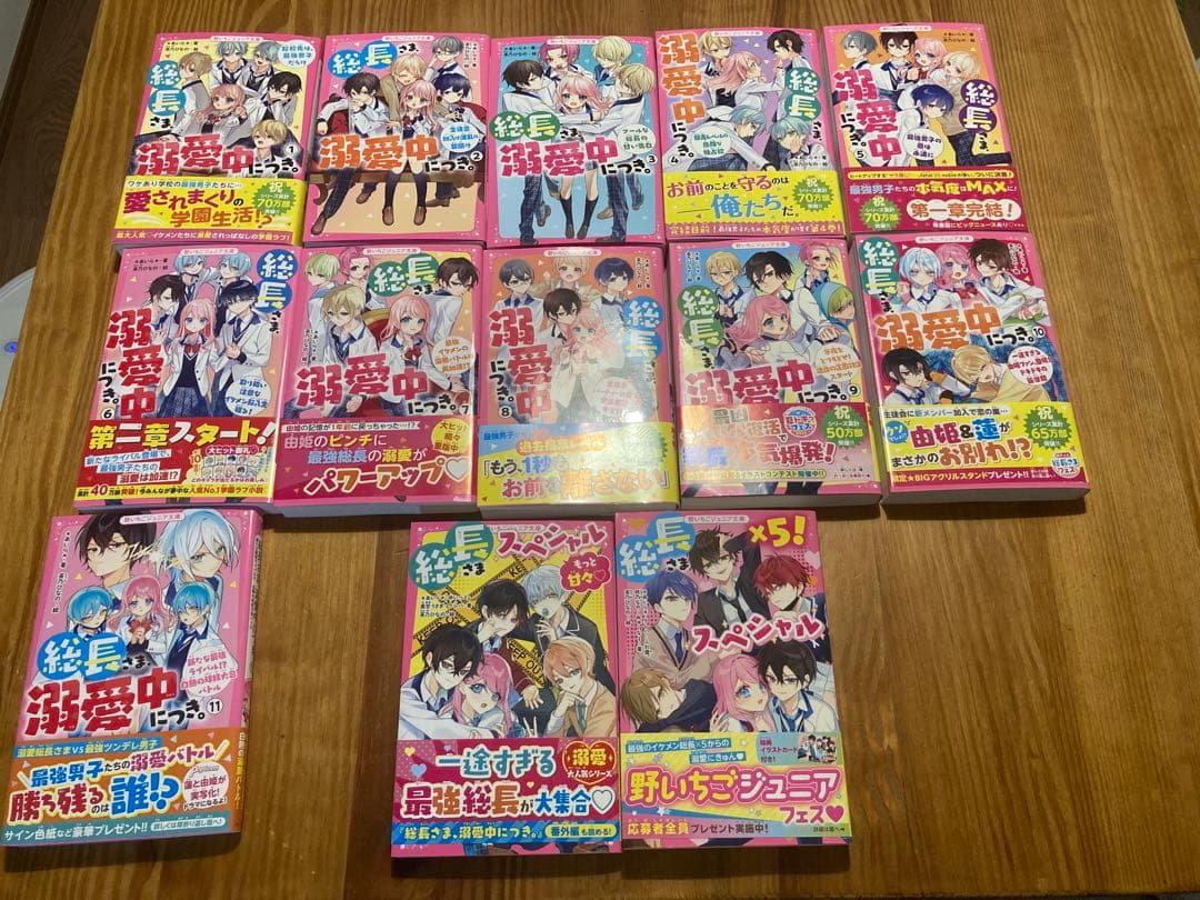 総長さま、溺愛中につき。1〜11巻＋おまけ2冊