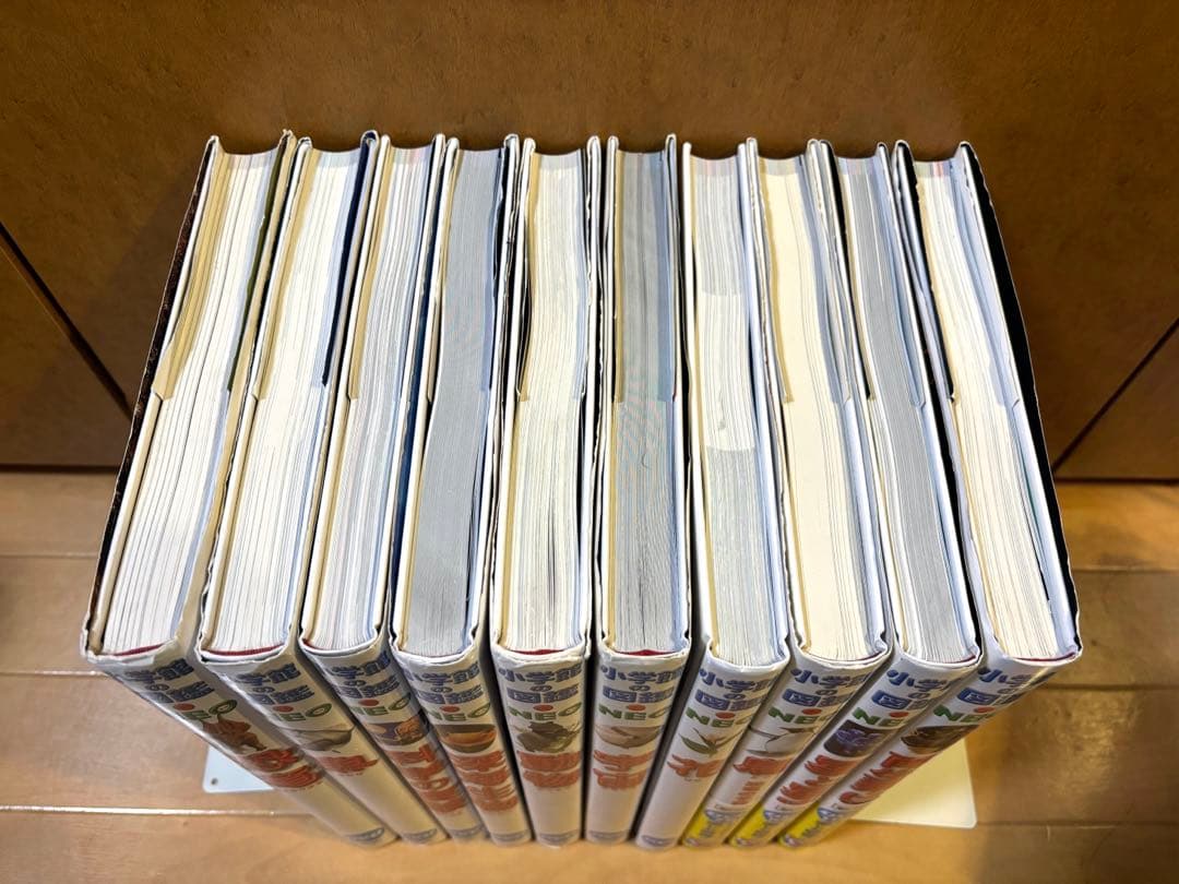 小学館の図鑑NEO新版10冊セット