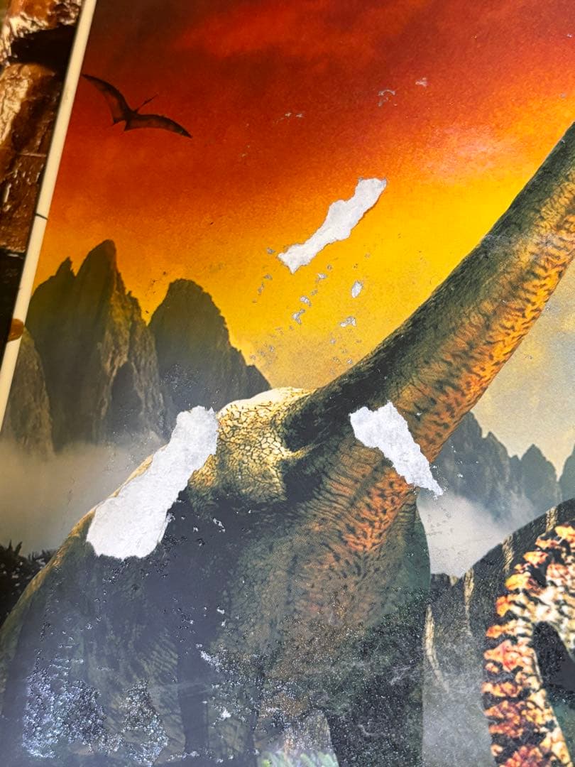 小学館の図鑑NEO新版10冊セット