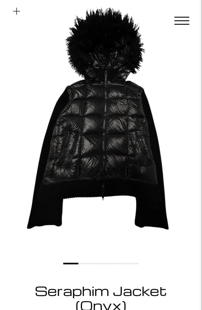 【⭐️希少⭐️】etherealexist フーディ パーカー ダウン ベスト