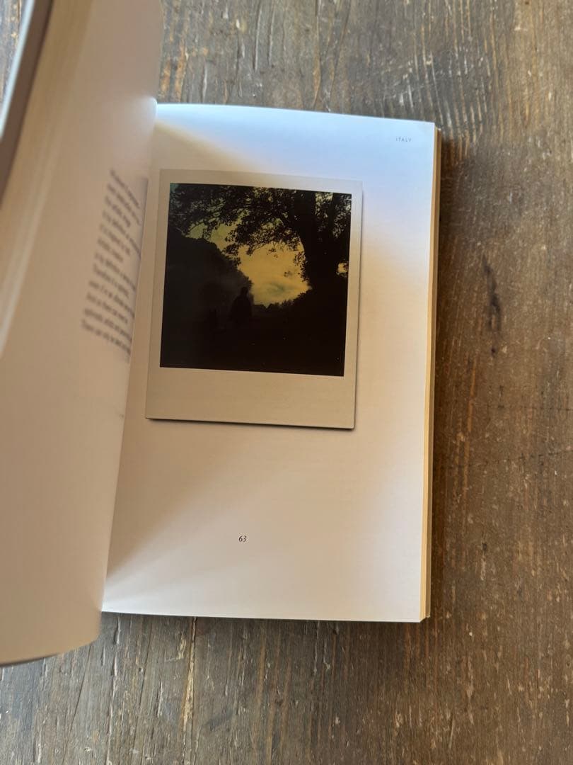 アート・デザイン・音楽 Instant Light : Tarkovsky Polaroids