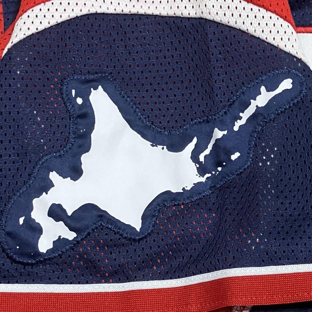 大谷翔平 北海道日本ハムファイターズ 2017 アンビシャス ユニフォーム/L