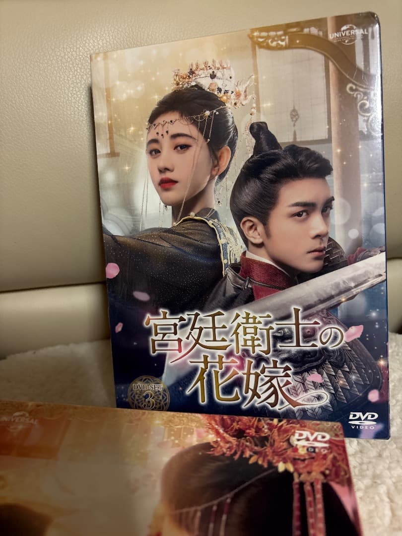 宮廷衛士の花嫁 全話
