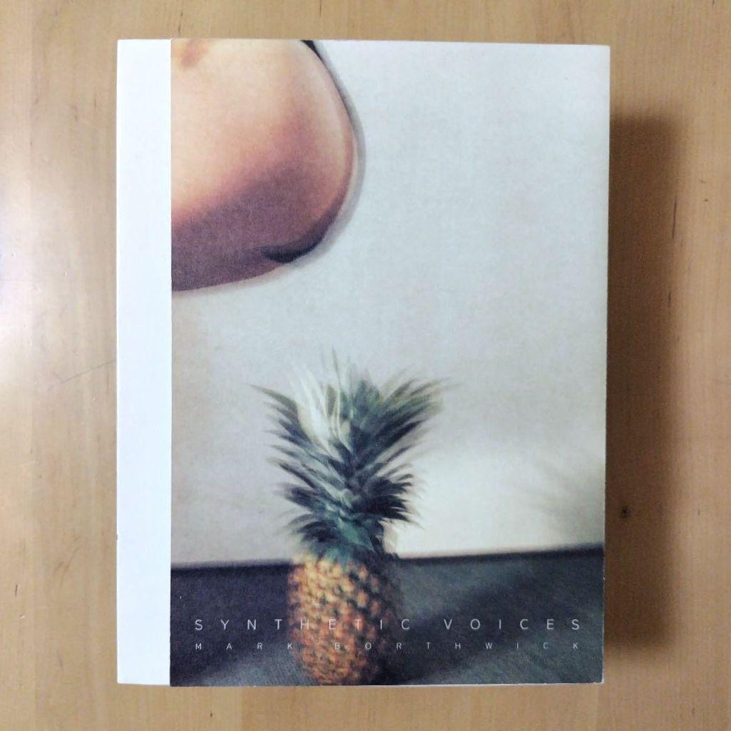 【初版/帯あり】マーク・ボスウィック 【シンセティック・ヴォイシズ】中島英樹装丁