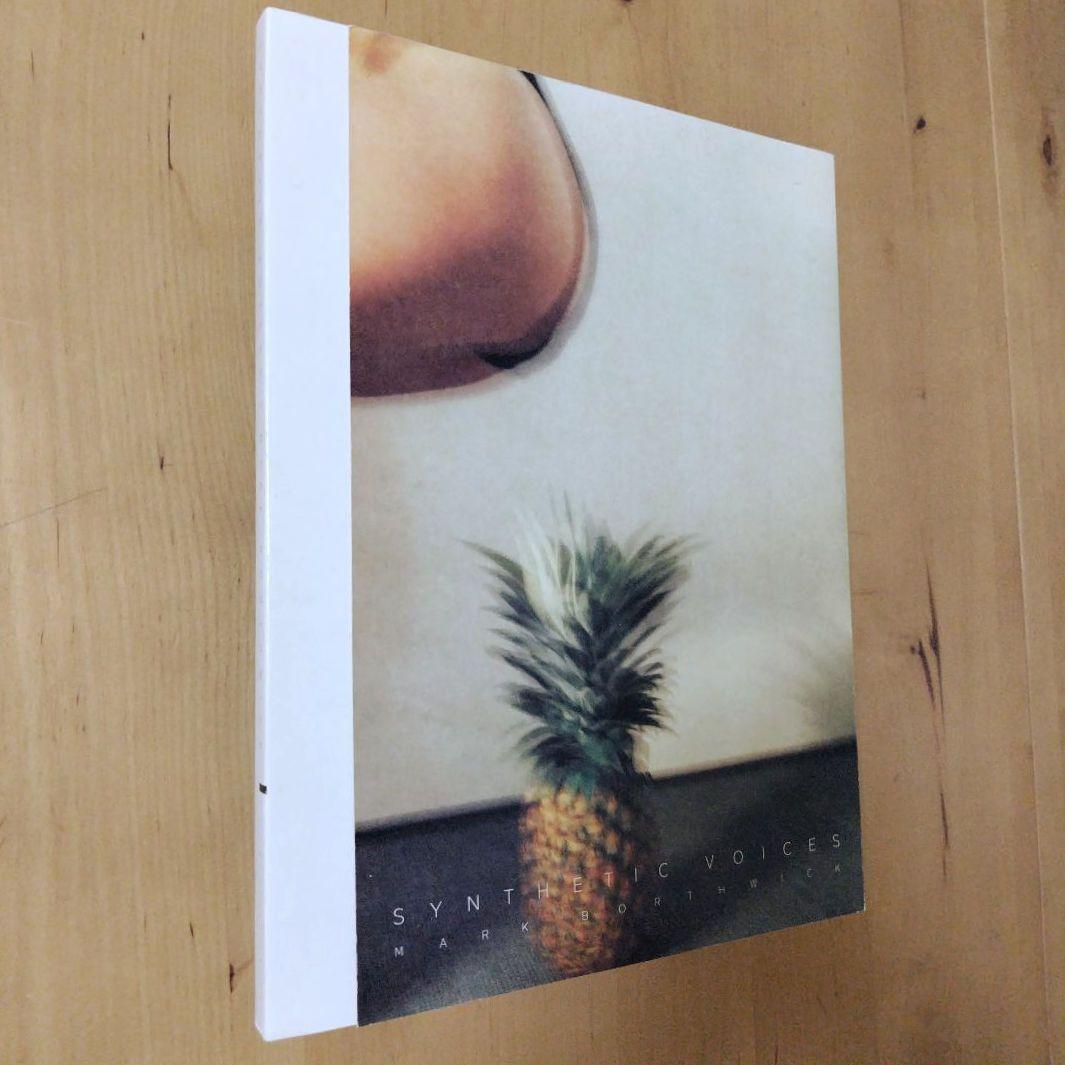 【初版/帯あり】マーク・ボスウィック 【シンセティック・ヴォイシズ】中島英樹装丁