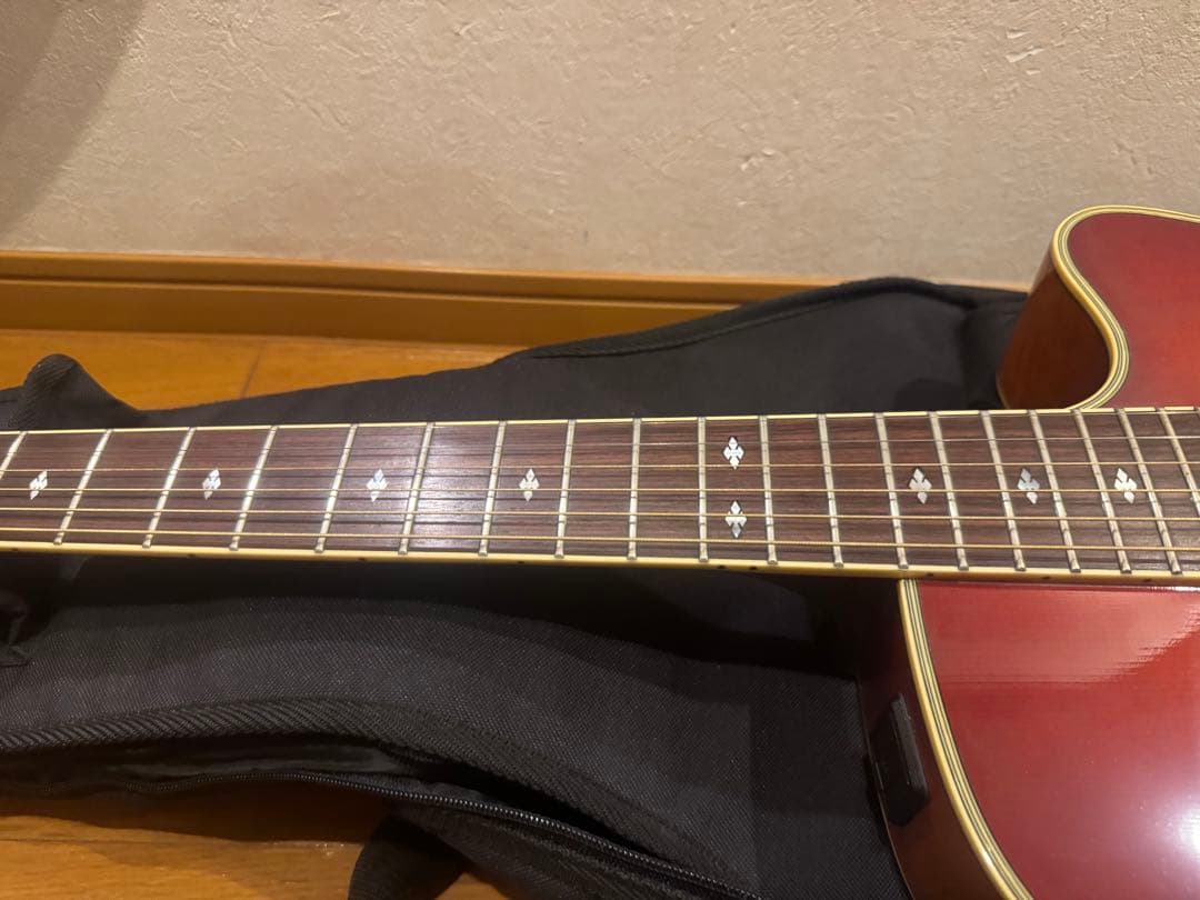 yamaha APX-10s シングルベッド 長渕剛