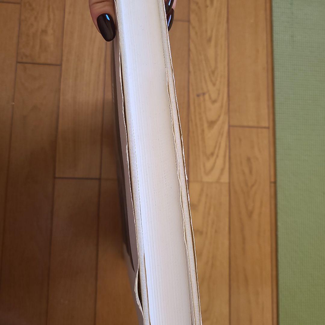 ALFRED STIEGLITZ 作品集