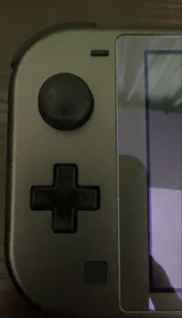 スイッチ ライト ディアルガ パルキア 本体