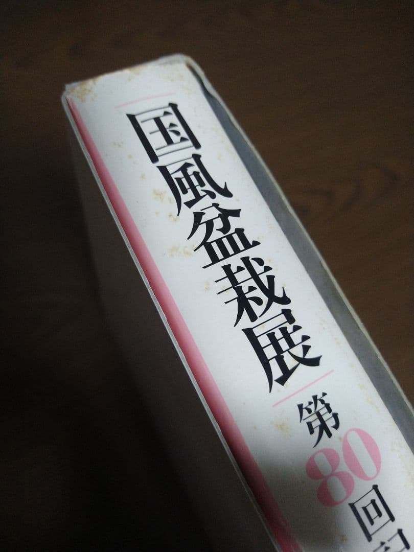 国風盆栽展 11巻セット 80-90