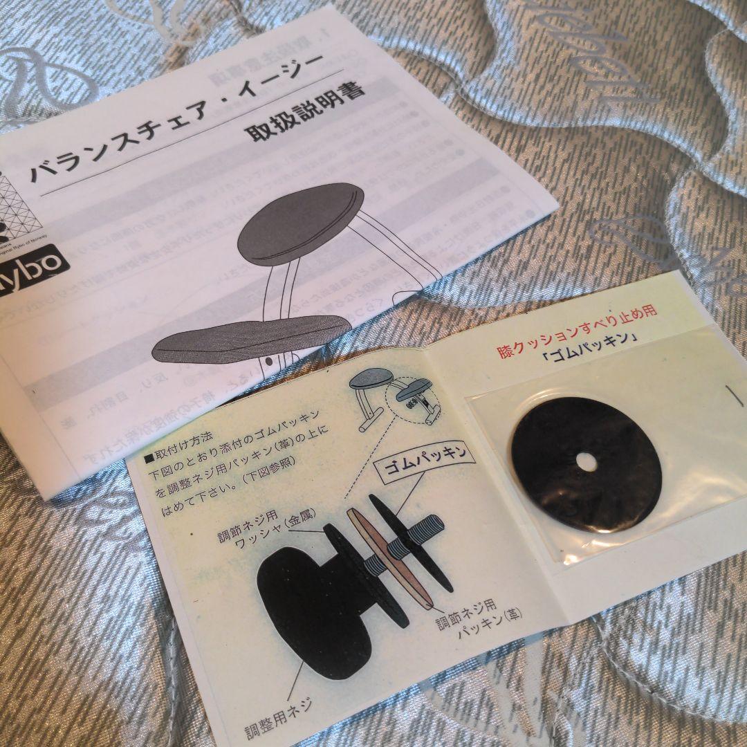 こ*ん様 水色　Rybo リボ社 バランスチェアイージー　取扱説明書付き　通販生