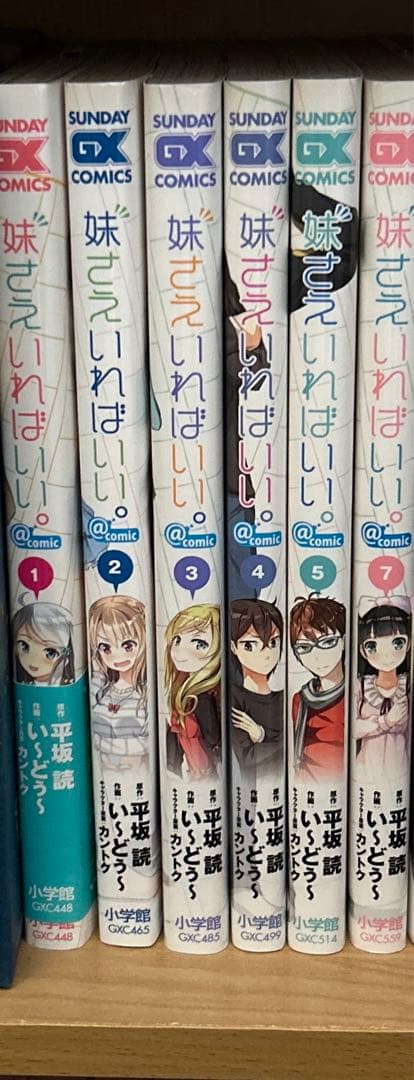 平坂読　妹さえいればいい。　サラダボウル　僕は友達が少ない　漫画　小説　セット
