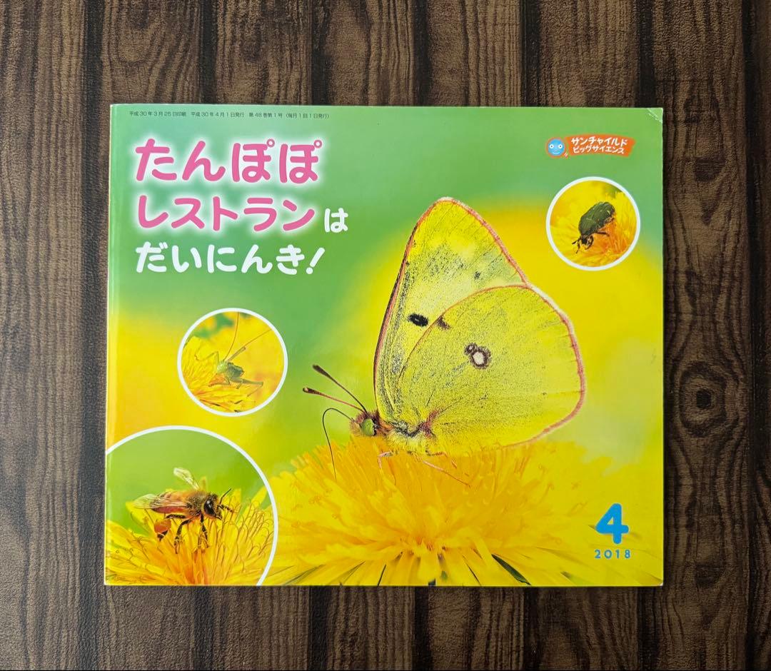 たんぽぽ　ちいさなかがくのとも　キンダーブックしぜん　ビッグサイエンス