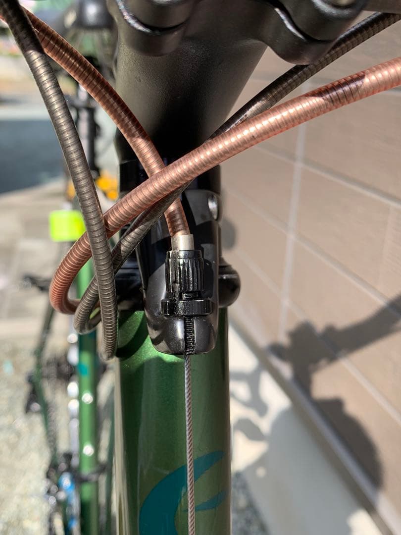 Calamita CXオリーブ