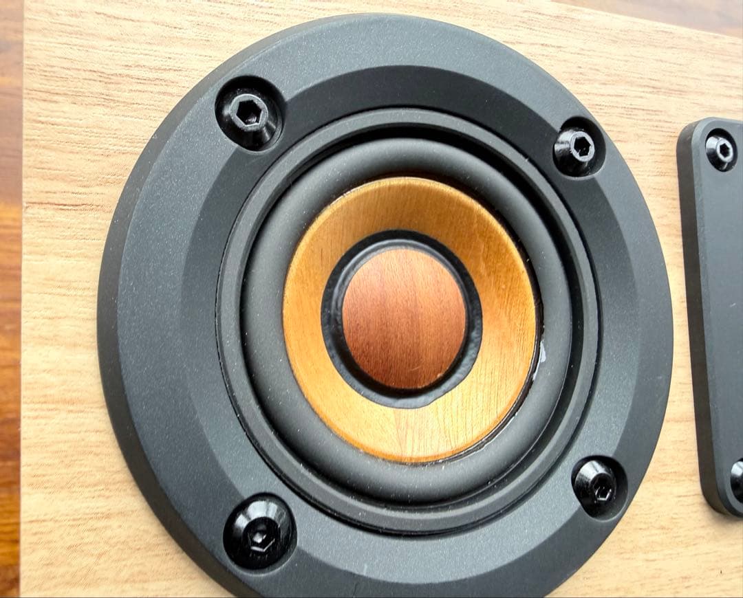 Victor EX-DM10 ウッドコーン WOOD CONE