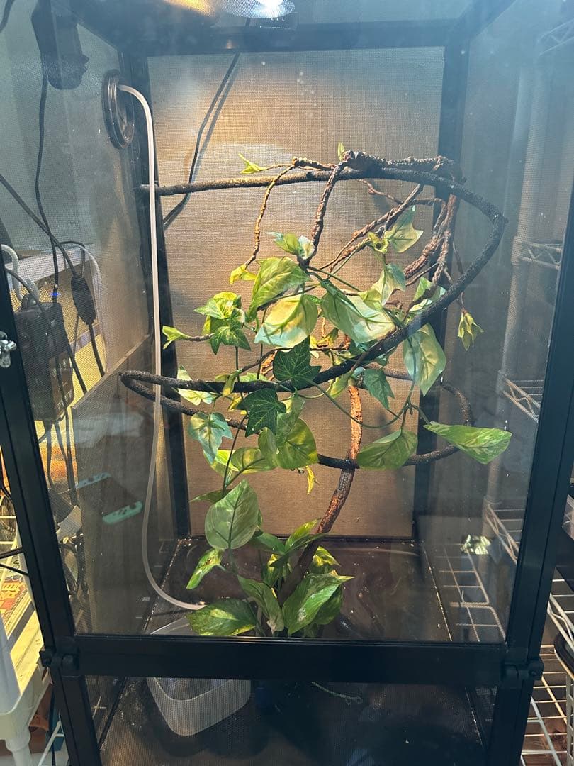 中ちゃん　ゲージ+ドリッパー+ライトドーム