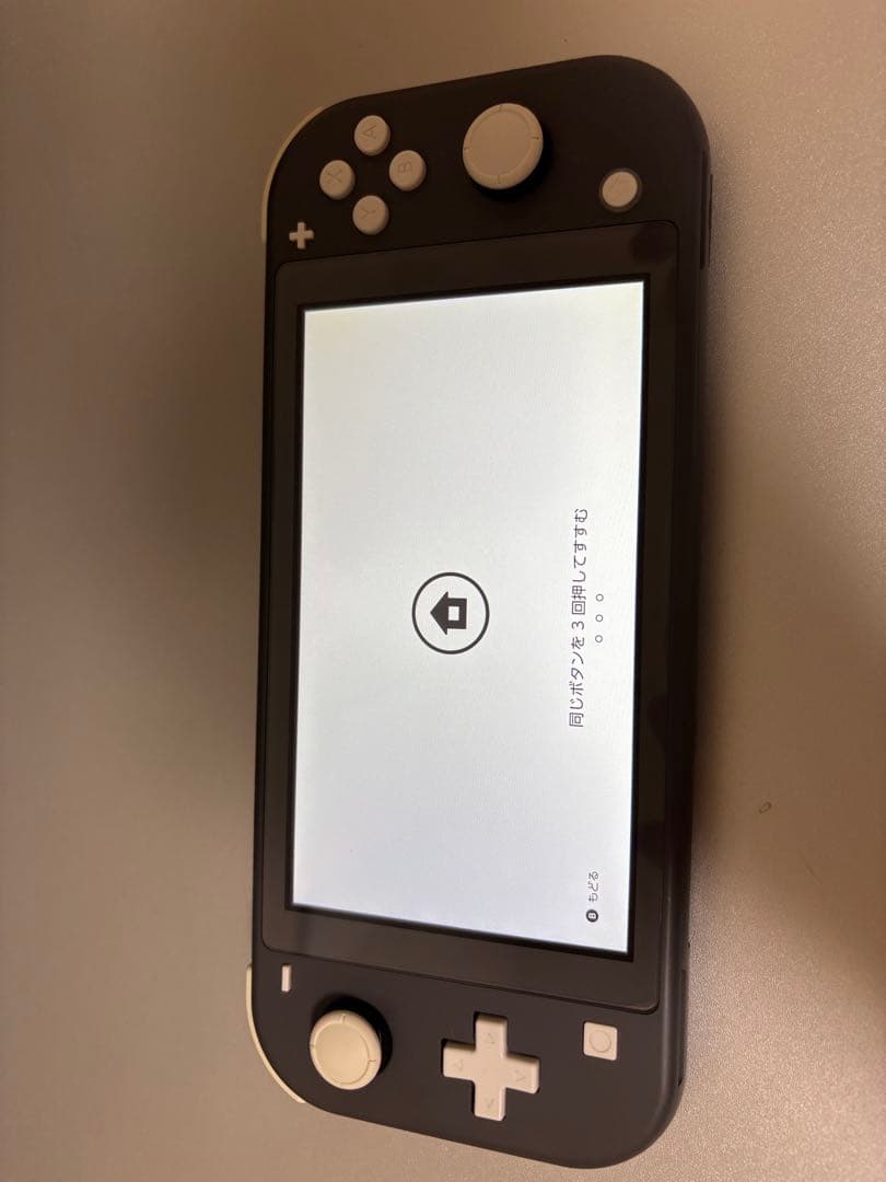 美品！Nintendo Switch Lite グレー 本体におまけ2個付きです