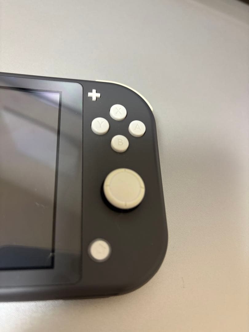 美品！Nintendo Switch Lite グレー 本体におまけ2個付きです