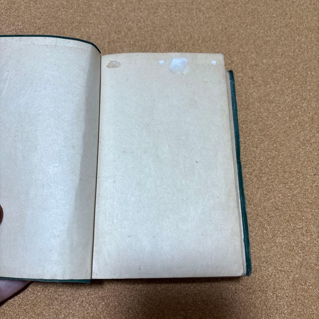 実驗　根本的健脳法 肥田春充　（昭和２年初版）