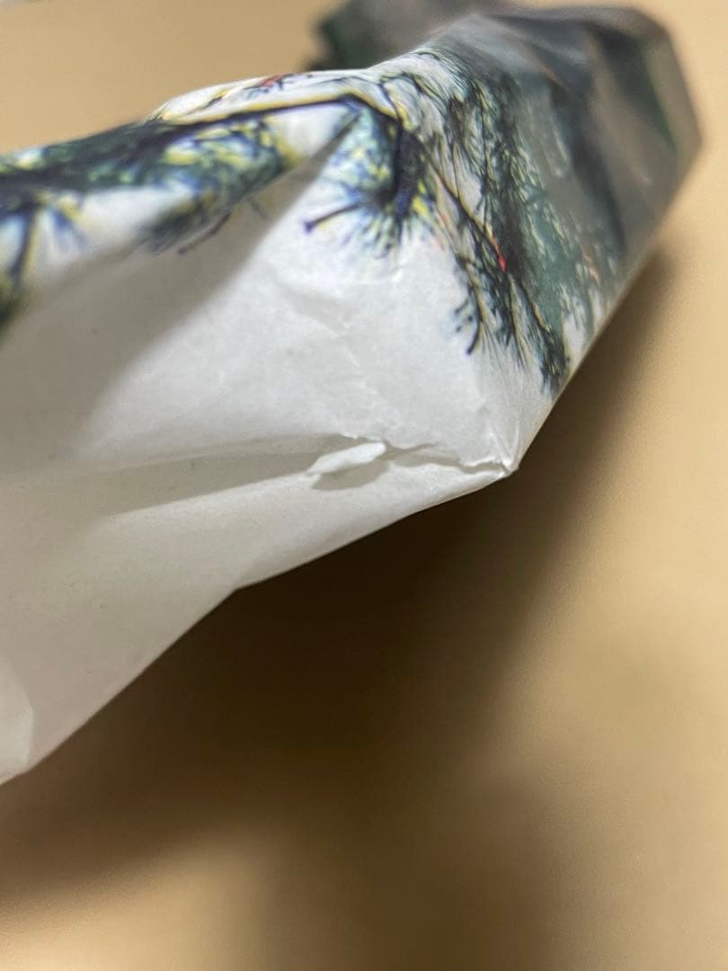 志賀理江子 螺旋海岸 notebook 直筆サイン入り