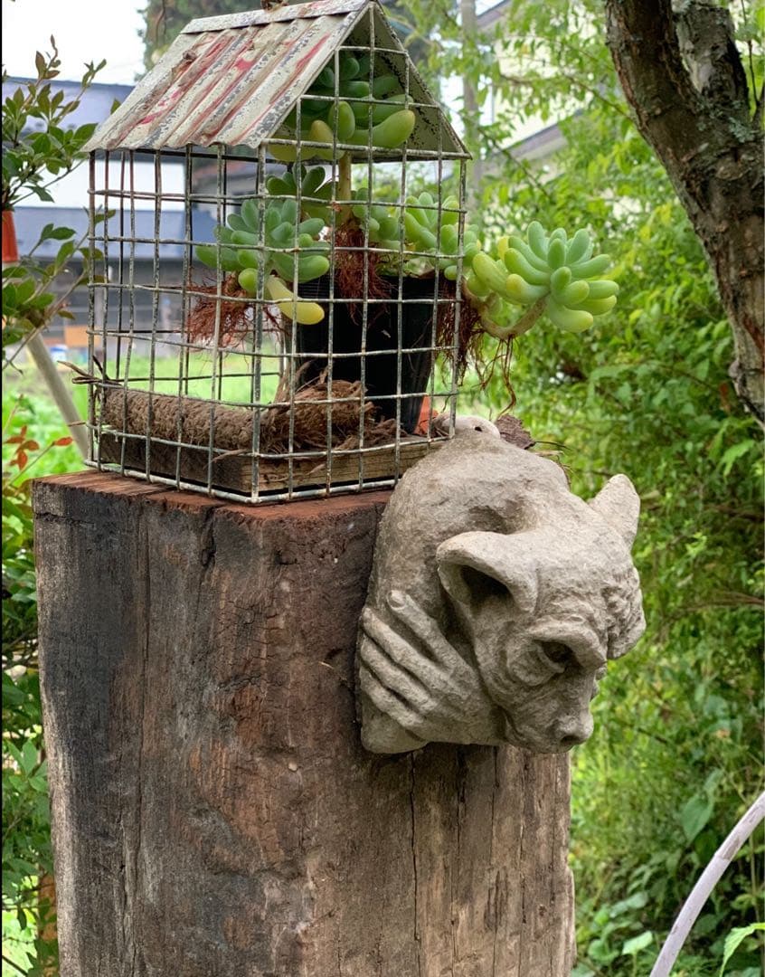 WONDERDECOR ワンダーデコール グレムリン ガーゴイル 壁掛け 魔除け